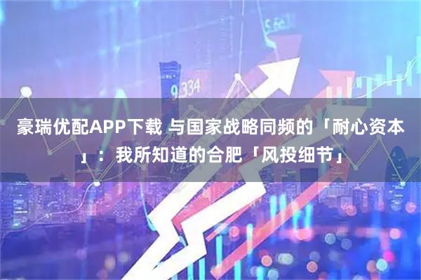 豪瑞优配APP下载 与国家战略同频的「耐心资本」：我所知道的合肥「风投细节」