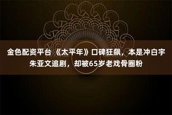 金色配资平台 《太平年》口碑狂飙，本是冲白宇朱亚文追剧，却被65岁老戏骨圈粉