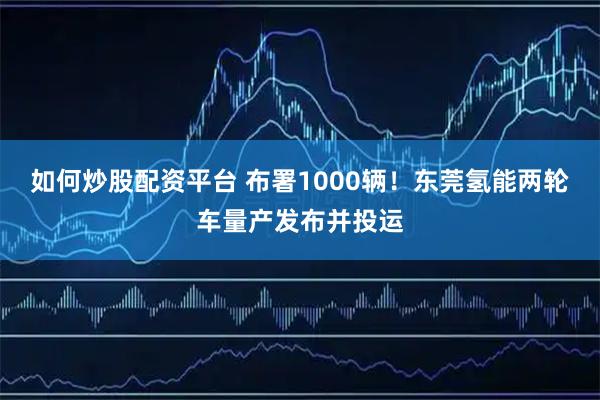 如何炒股配资平台 布署1000辆！东莞氢能两轮车量产发布并投运