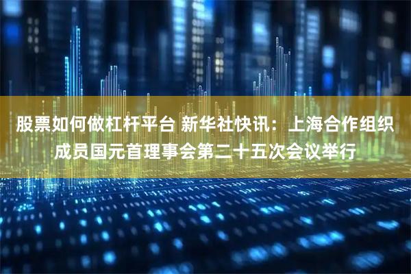 股票如何做杠杆平台 新华社快讯：上海合作组织成员国元首理事会第二十五次会议举行